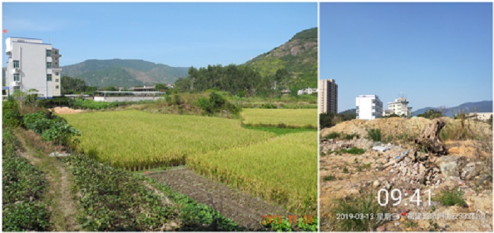 左為2013年11月土地原狀，右為2019年3月土地現(xiàn)狀.jpg