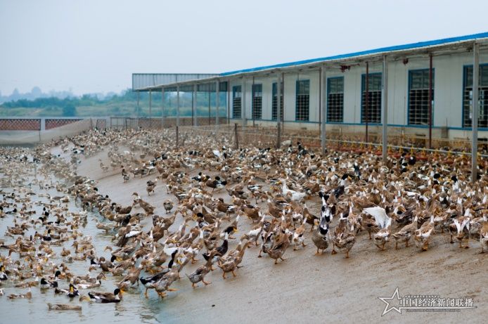 圖片2.jpg