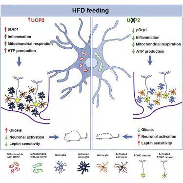 1 - 副本 - 副本.jpg