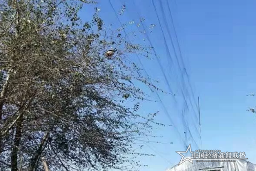 微信截圖_20191029091415.png