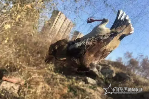 微信截圖_20191029091429.png
