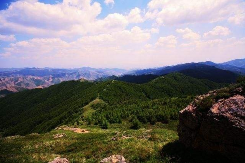 內蒙古興和縣持續(xù)構建首都北京綠色生態(tài)屏障