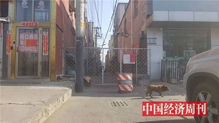 1 - 副本 - 副本 - 副本 - 副本 (2) - 副本 - 副本.jpg