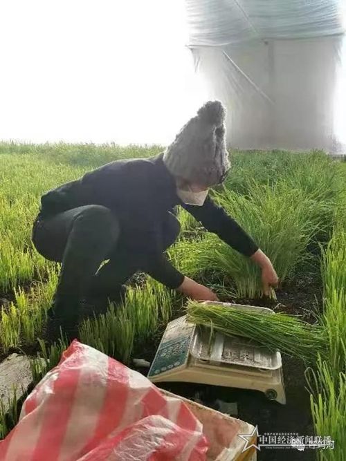 微信圖片_20200207161740.jpg