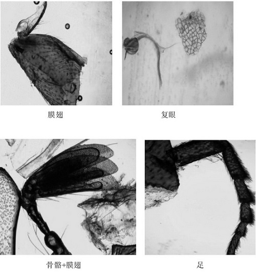1 - 副本 - 副本 - 副本 - 副本 - 副本 - 副本.jpg