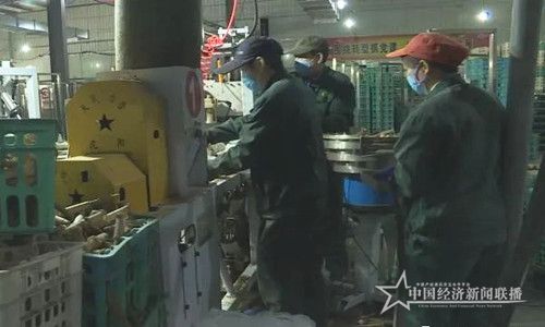 微信圖片_20200302105040.jpg