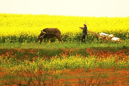 1 - 副本 - 副本 - 副本.jpg
