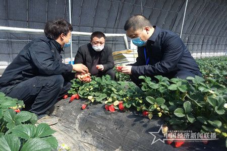 微信圖片_20200324103130.jpg