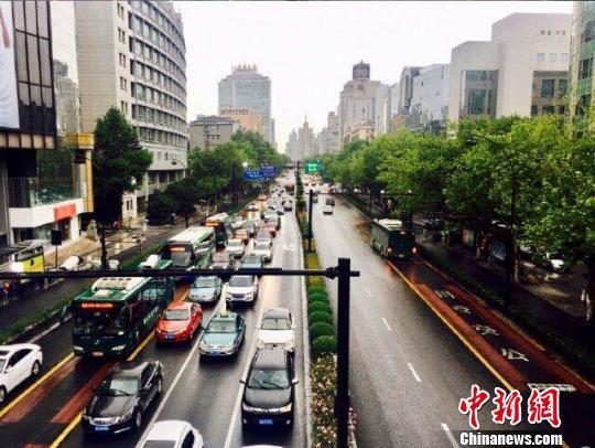 杭州某路段。錢晨菲 攝