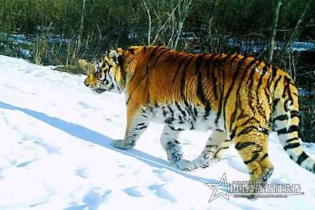 微信圖片_20200403202223.jpg