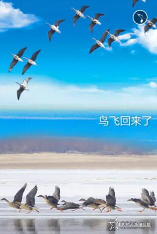 微信圖片_20200405181948.jpg