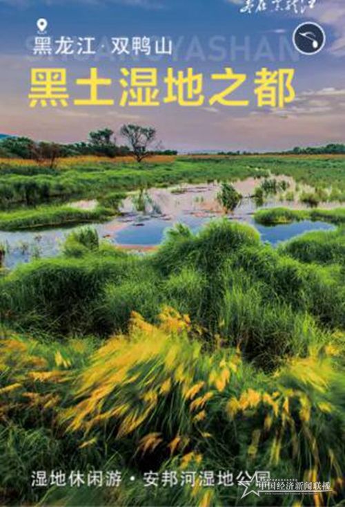 微信圖片_20200405182047.jpg