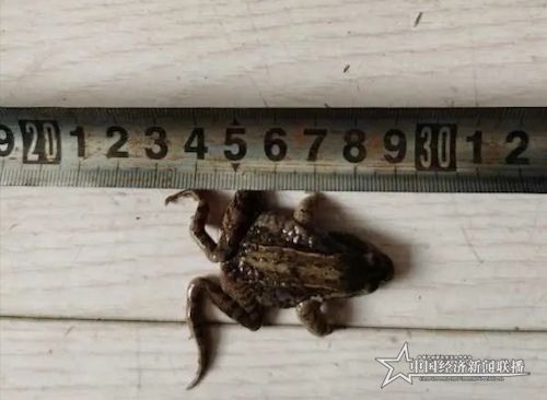 1901586501914_.pic.jpg