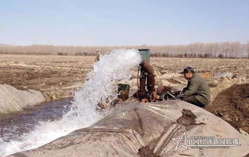 1941586502816_.pic.jpg