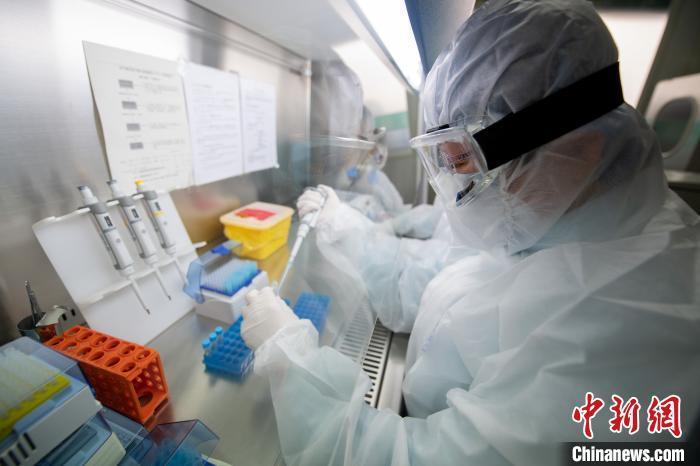 資料圖：醫(yī)療人員對復(fù)工人員樣本進(jìn)行核酸檢測。韋亮 攝