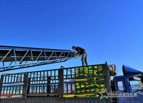 cc2a226bd70a3ec6fc5774c1f1e0939 (1).jpg