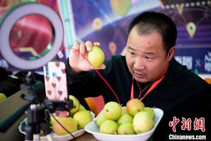 資料圖：果農(nóng)使用手機(jī)進(jìn)行直播促銷農(nóng)產(chǎn)品。a target='_blank' href='http://www.chinanews.com/'中新社/a記者 韋亮 攝