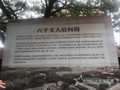 圖片6.png