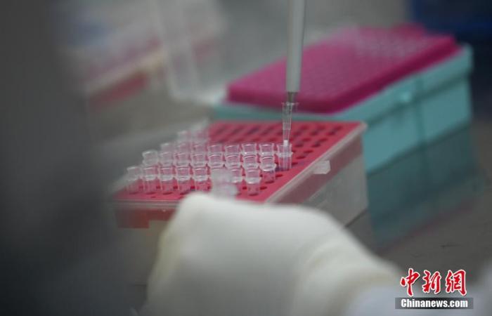 資料圖：貴州省人民醫(yī)院檢驗科進行核酸檢測。 a target='_blank' href='http://www.chinanews.com/'中新社/a發(fā) 武敏 攝