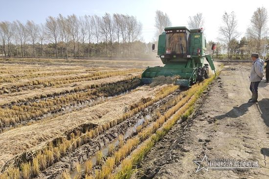 10.10 六區(qū).jpg