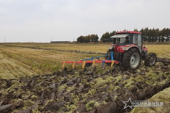 10.12 八區(qū).jpg