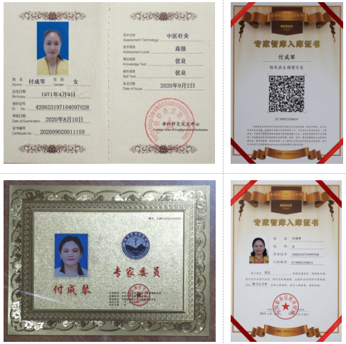 2 付成琴：針人合一是針灸的最高境界.png