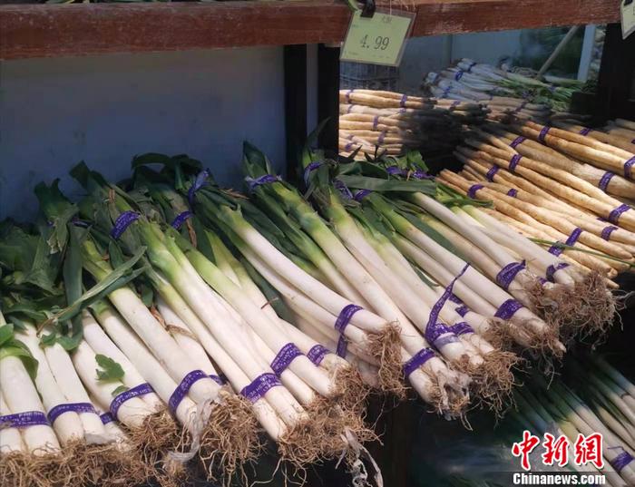 圖為北京西城區(qū)一家超市內(nèi)售賣的大蔥。 謝藝觀 攝