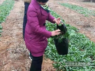 微信圖片_20210202204430 (1).jpg