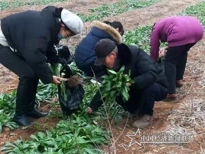 微信圖片_20210202204438 (1).jpg