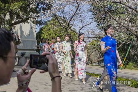 櫻花2.jpg