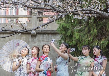 櫻花3.jpg