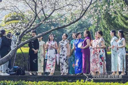 櫻花5.jpg