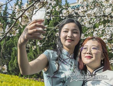 櫻花7.jpg