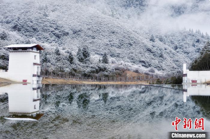 圖為魯朗雪景。資料圖。魯朗景區(qū)管委會(huì)供圖