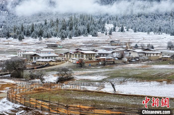 圖為魯朗雪景。資料圖。魯朗景區(qū)管委會(huì)供圖