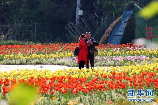 360截圖20200401092007993.jpg