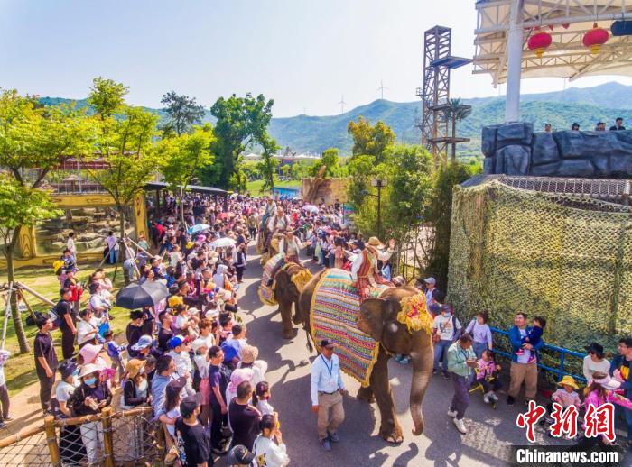 太湖龍之夢(mèng)樂(lè)園 周蘇森 攝