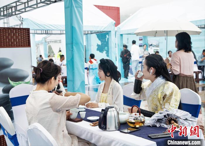 圖為游客品茗。福鼎市委宣傳部 供圖