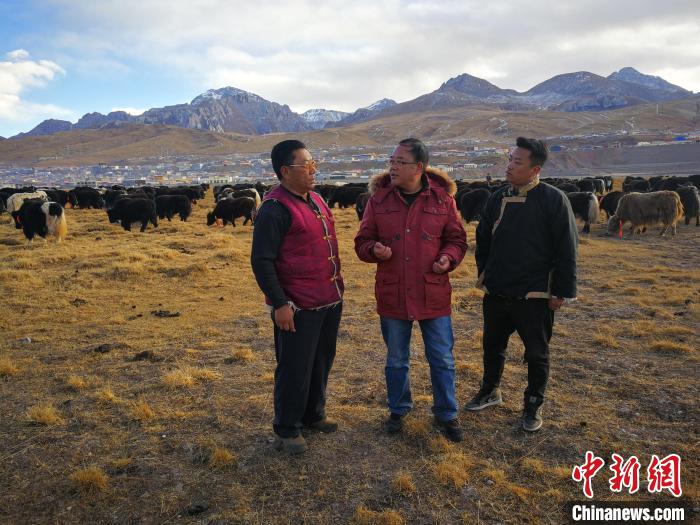 圖為宋仁德(中)在牧區(qū)查看牦牛養(yǎng)殖情況。受訪者供圖