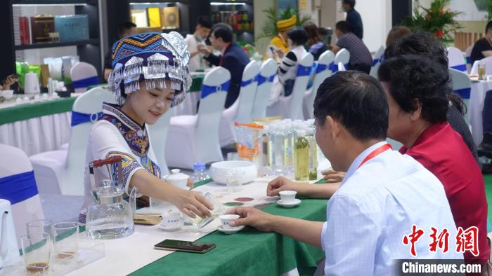 身穿民族服飾的茶藝師為茶商斟茶。錢晨菲 攝