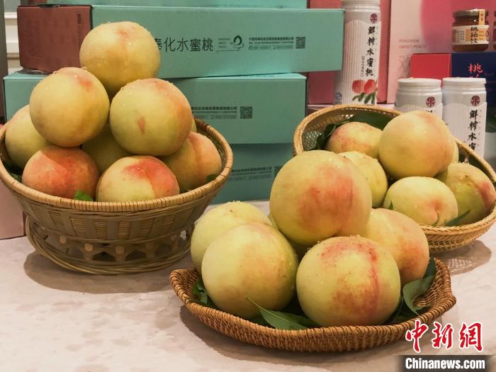 奉化水蜜桃。林波 攝