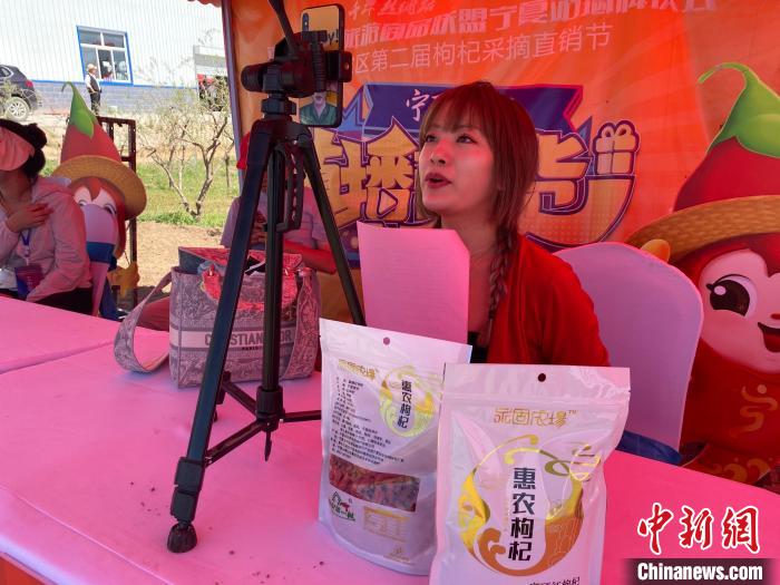 直播帶貨銷售寧夏惠農(nóng)枸杞。石嘴山市委宣傳部供圖