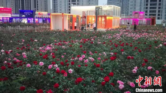 游園會現(xiàn)場。沈陽市和平區(qū)供圖