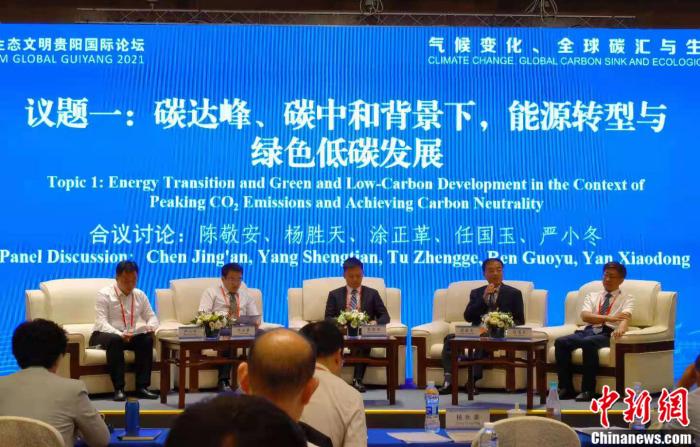 圖為論壇現(xiàn)場 a target='_blank' href='http://www.chinanews.com/' 中新網(wǎng)/a 郎朗 攝