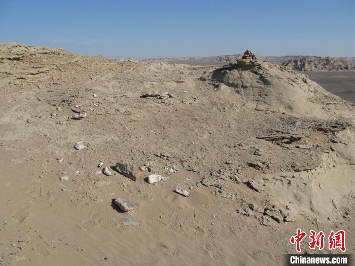 采集前的恐龍化石。中科院古脊椎所 供圖