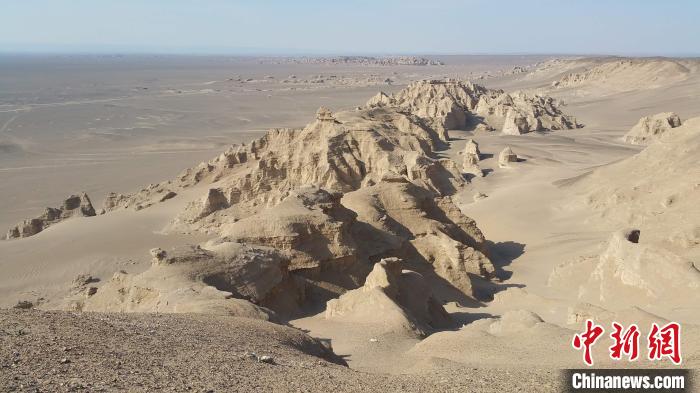 化石發(fā)現(xiàn)地的雅丹地貌。中科院古脊椎所 供圖
