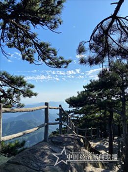 圖片 8_副本_副本_副本_副本.png