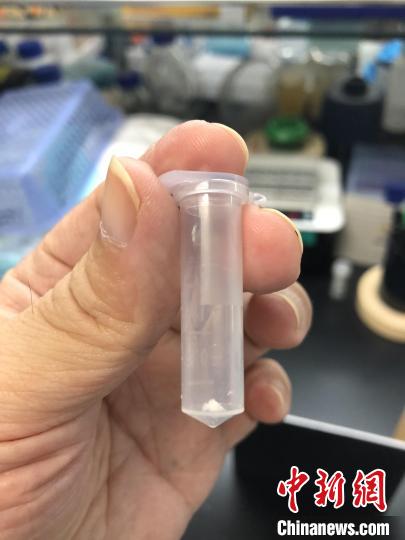 中科院天津工業(yè)生物技術研究所科研人員在實驗室展示人工合成淀粉樣品。中科院科技攝影聯(lián)盟 供圖