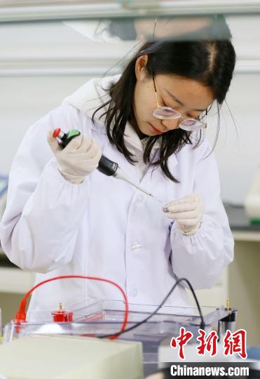 2021年1月8日，蘭州高新區(qū)留學(xué)人員創(chuàng)業(yè)園內(nèi)，科研人員在進(jìn)行瓊脂糖凝膠電泳實(shí)驗(yàn)。(資料圖) 高展 攝