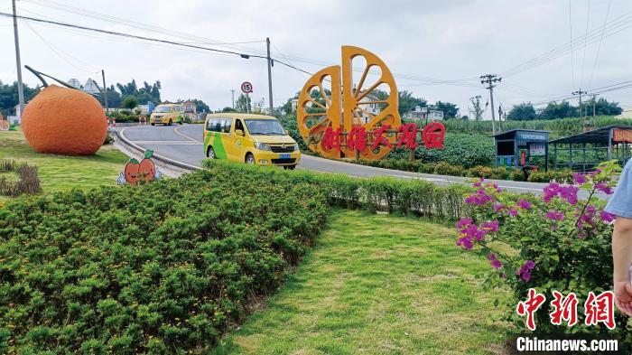 圖為宜賓市江安縣“金通工程”客運車輛行駛在鄉(xiāng)村公路上。王鵬 攝